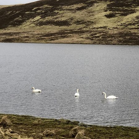 Scalloway Caravan Park Bagian luar foto